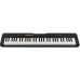 CT-S100 61 Key Keyboard + AD-E95100LE Adaptor