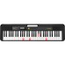 LK-S250 61 Key Keyboard with Key Light + AD-E95100LE Adaptor