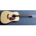 DV200 Solid Mahogany Top Acoustic Guitar w/case